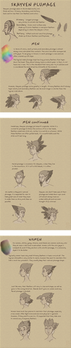 Bird Species Head Types